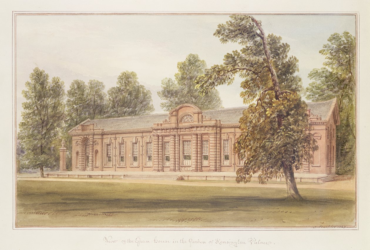 Orangeriet eller drivhuset i Kensington Palaces have af John Edmund Buckley