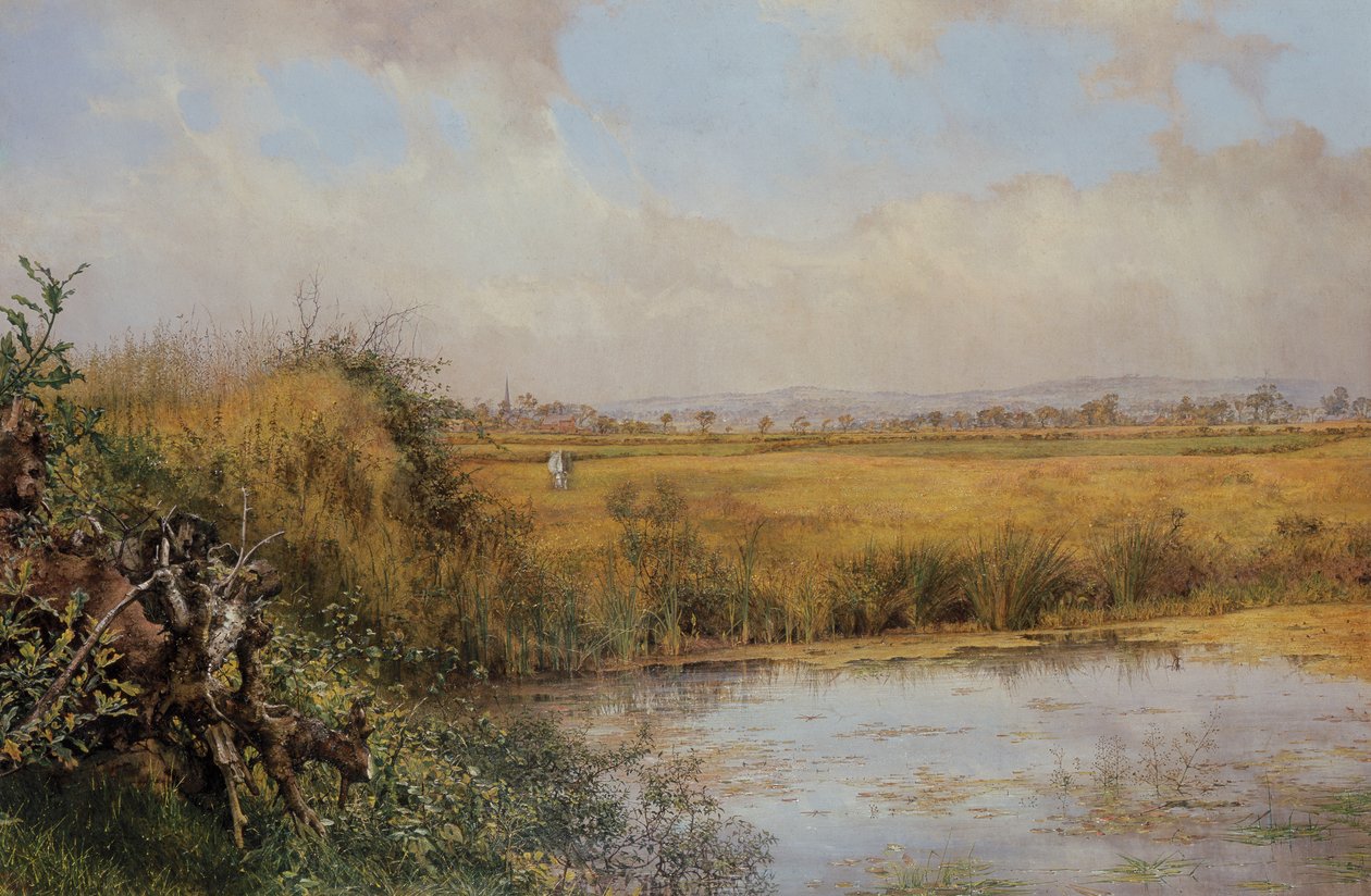 Ukendt billede af John Edward Newton