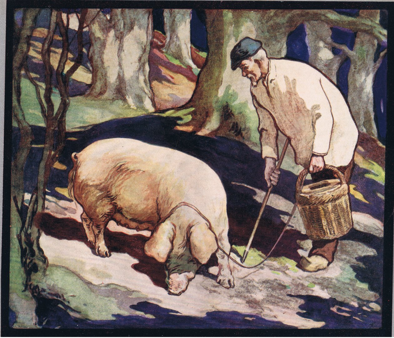 En gris søger efter trøfler, illustration fra 