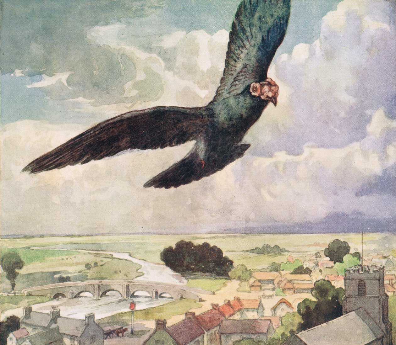 Fugl, der flyver over en by, illustration fra 