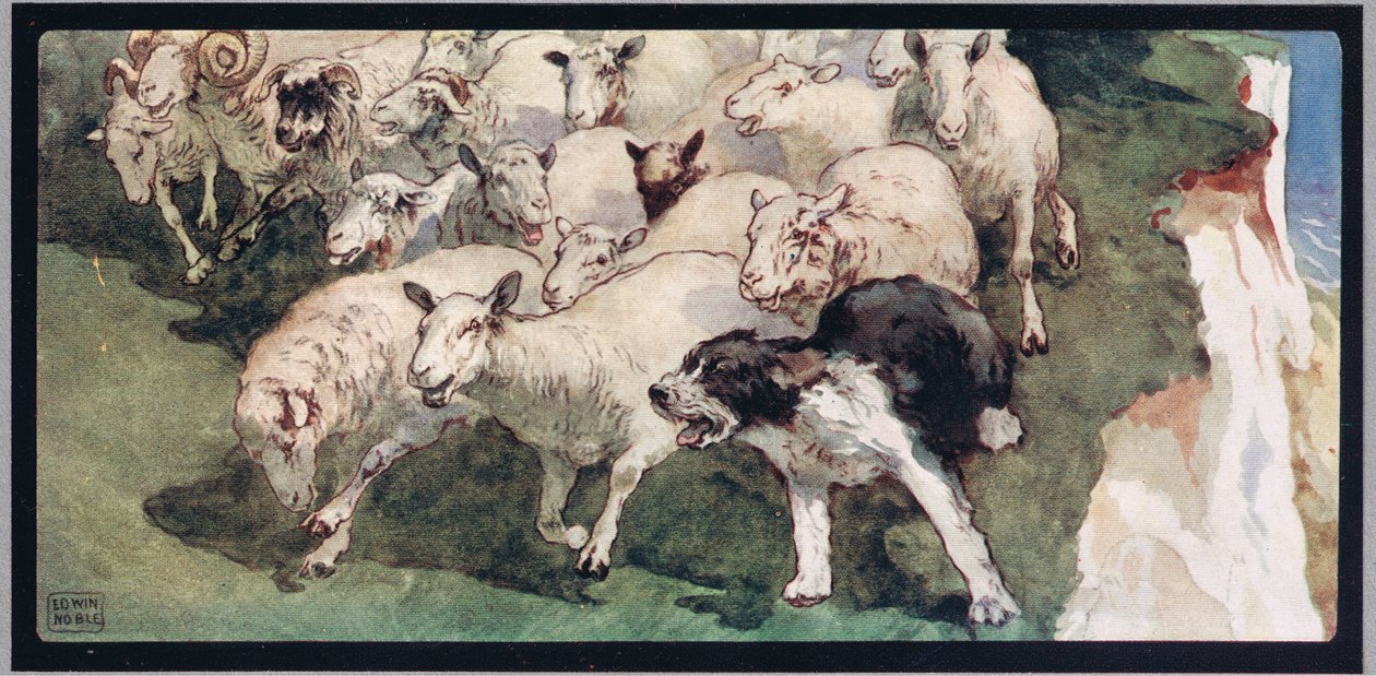 Bobtail fårehund og flok på klipper, illustration fra 