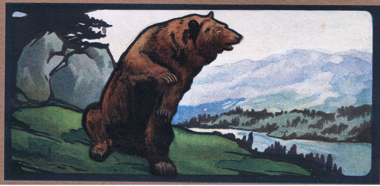 Brun bjørn af John Edwin Noble