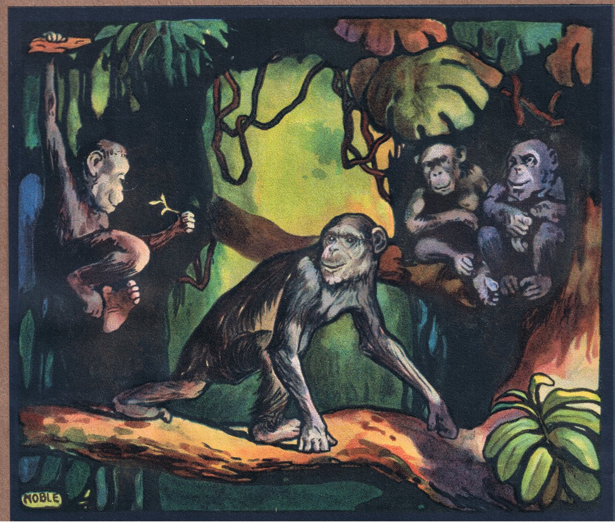 Chimpanse af John Edwin Noble