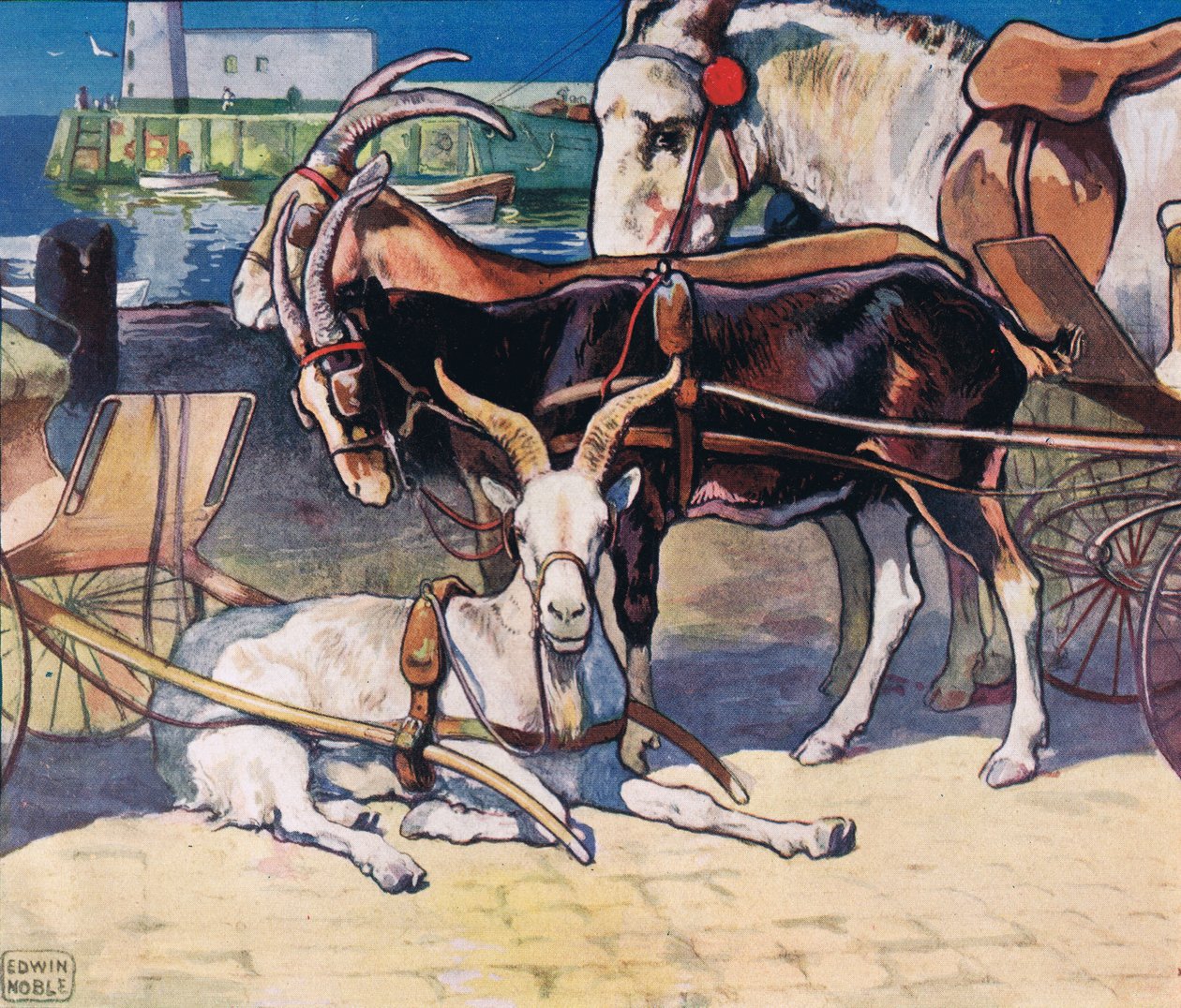 Geder hviler, illustration fra 