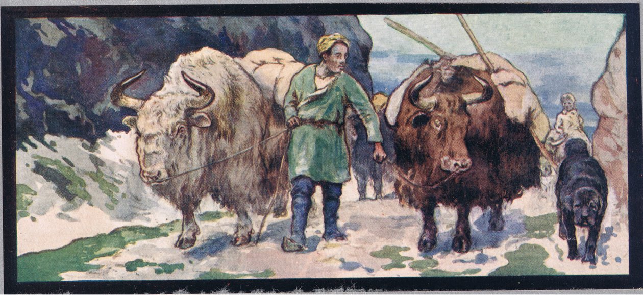 Mountain yaks, illustration fra 