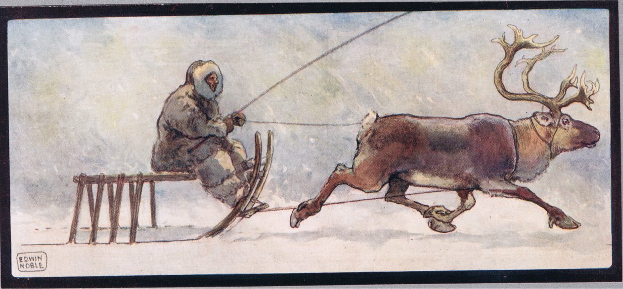 Rensdyr og slæde, illustration fra 