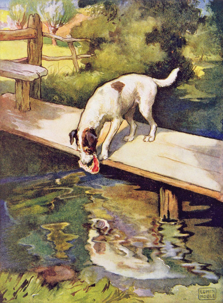 The Dog and the Shadow fra 