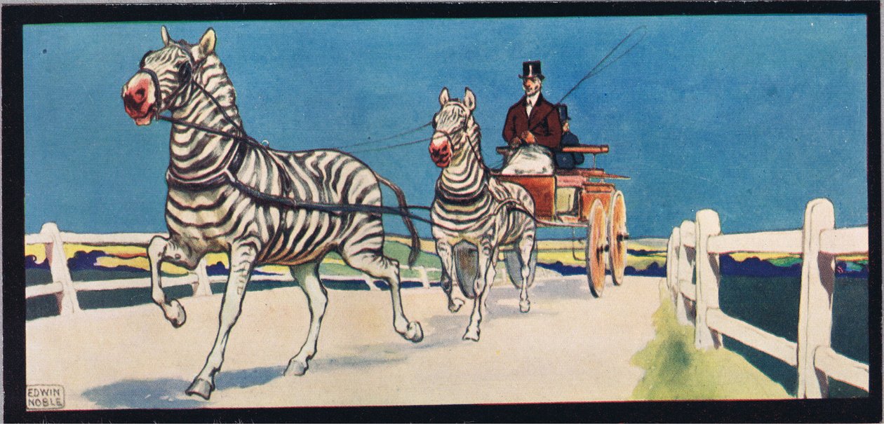 Zebras, der trækker en vogn, illustration fra 