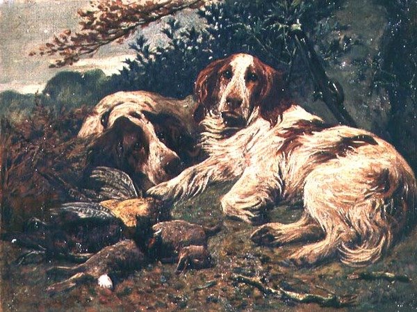 Et par lever- og hvide Clumber Spaniels ved dagens taske af John Emms