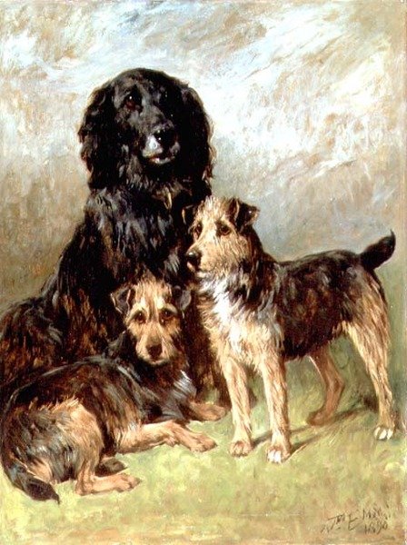 Familie kæledyr af John Emms