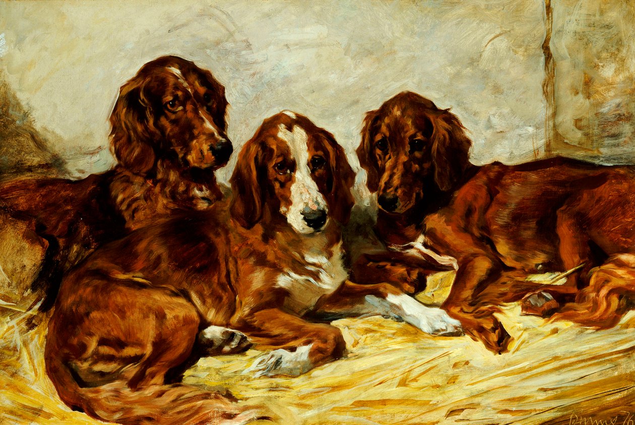 Shot and his Friends - Three Irish Red and White Setters, 1876 af John Emms