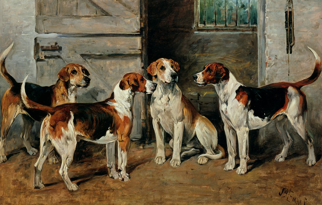 Undersøgelse af hunde af John Emms