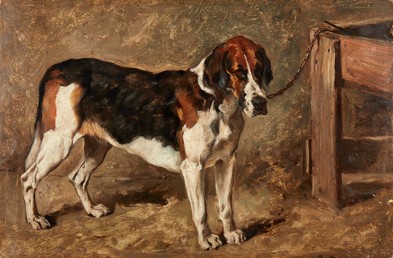 Undersøgelse af en hund (olie om bord) af John Emms
