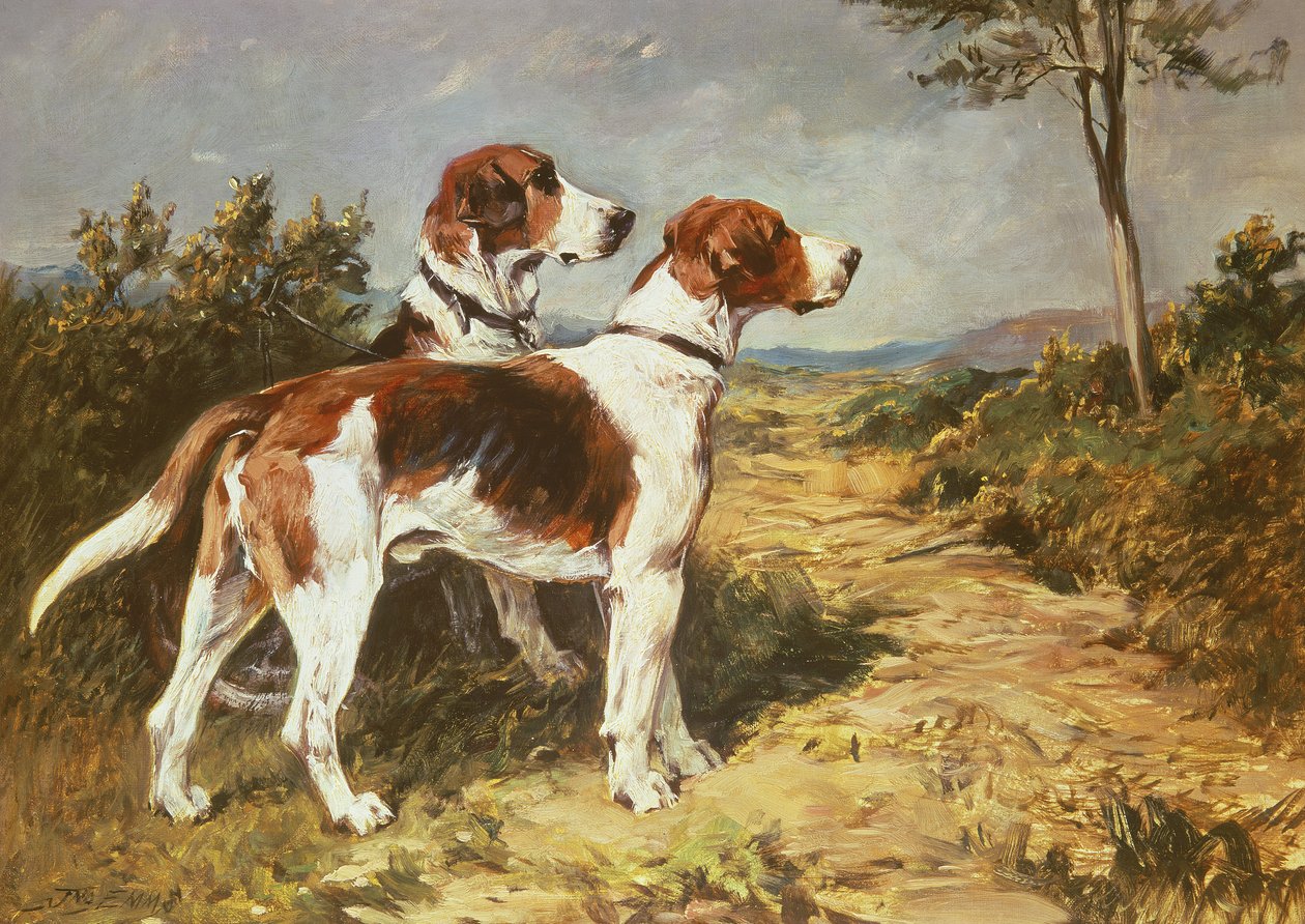 To hunde i et landskab af John Emms