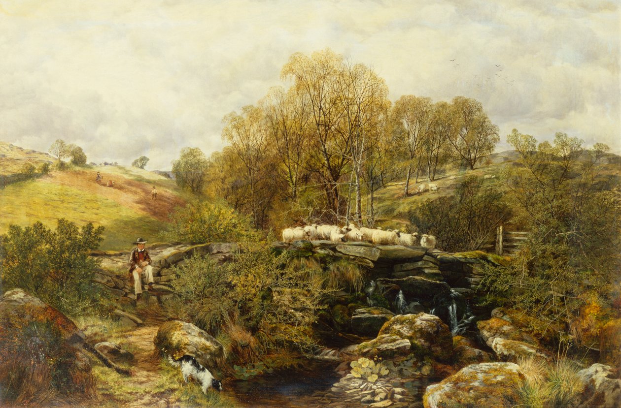 En hyrde og hans får ved en strøm af John F. Tennant