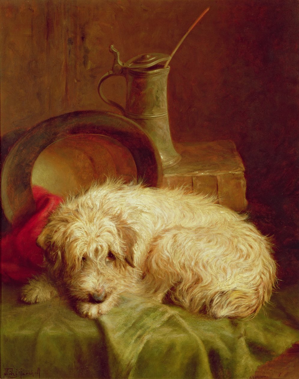 En Terrier af John Fitz Marshall