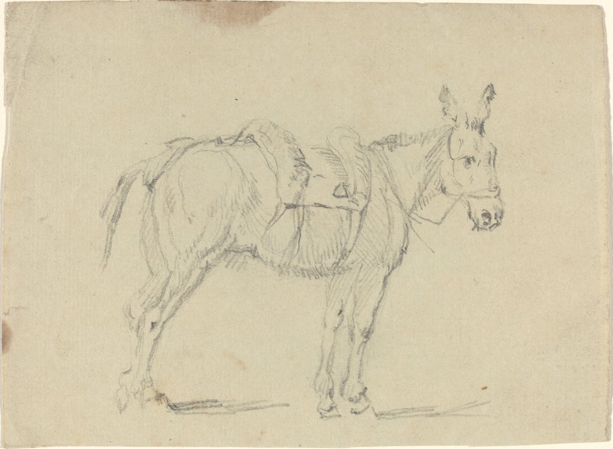 Æsel, der strækker et bagben af John Flaxman