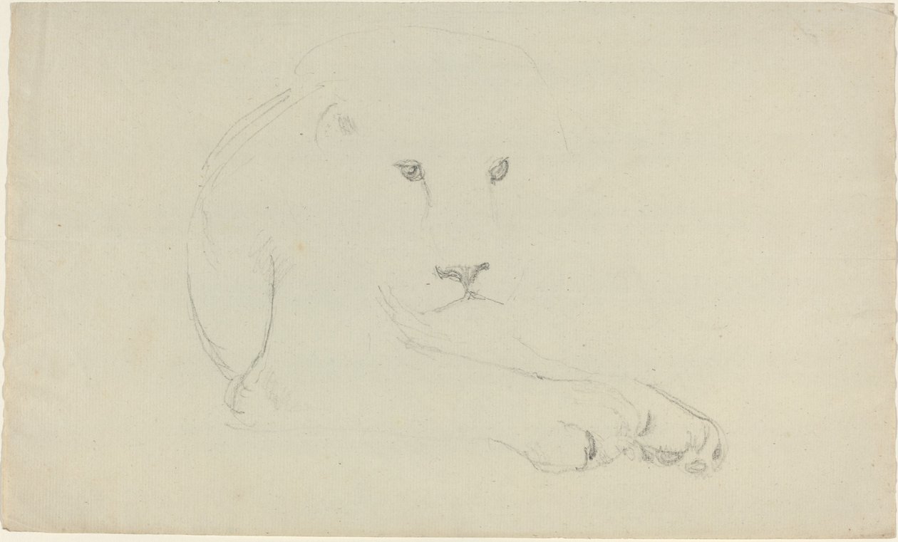 Løve af John Flaxman
