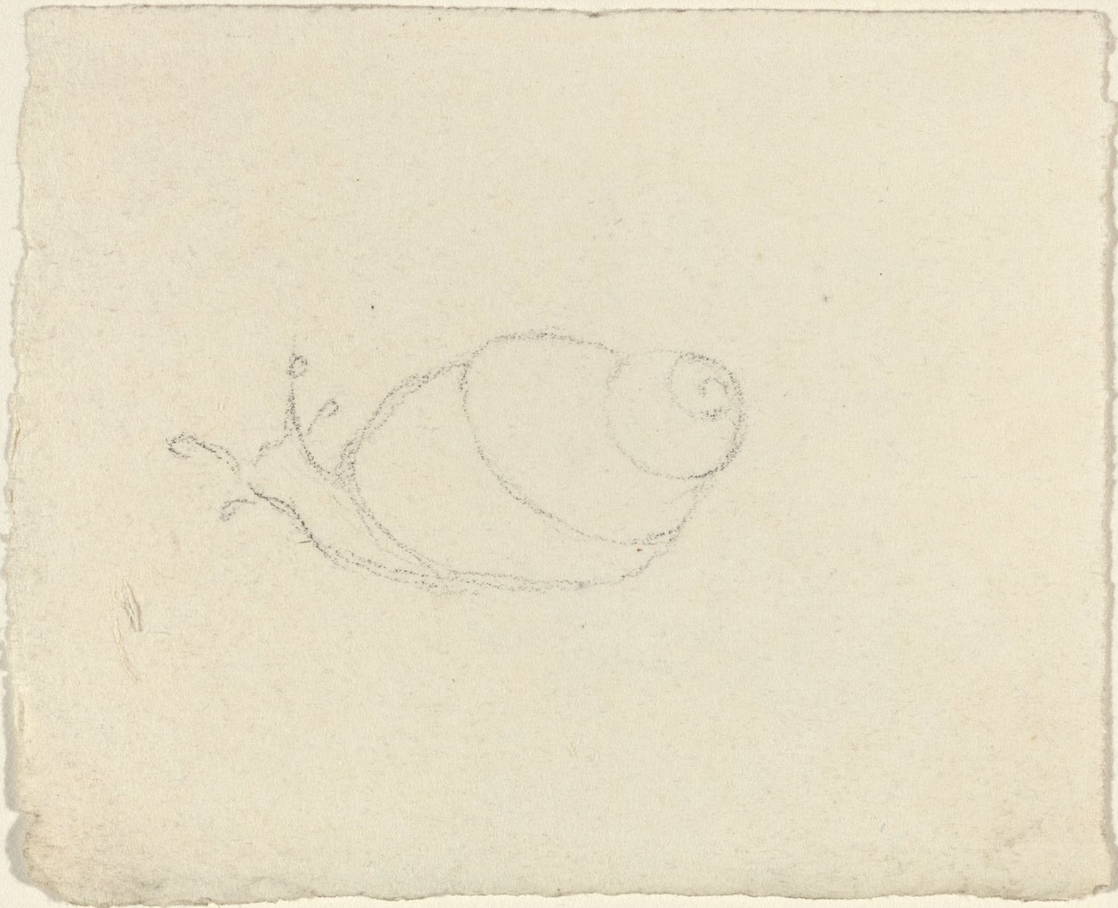 Snegle [recto and verso] af John Flaxman