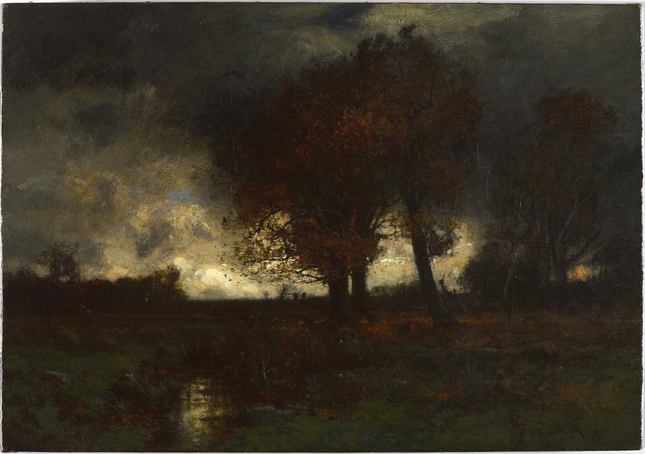En stormfuld dag, 1887 af John Francis Murphy
