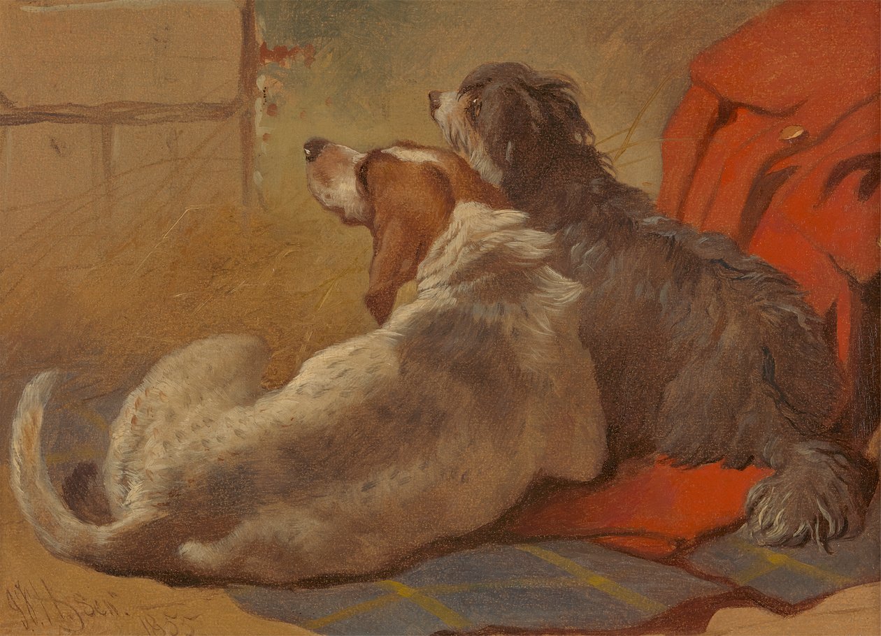 En hund og en bearded collie siddende på en jagtfrakke af John Frederick Herring