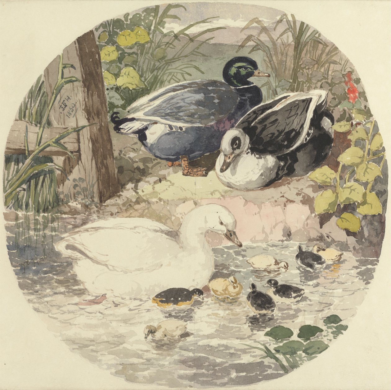 Ænder af John Frederick Herring