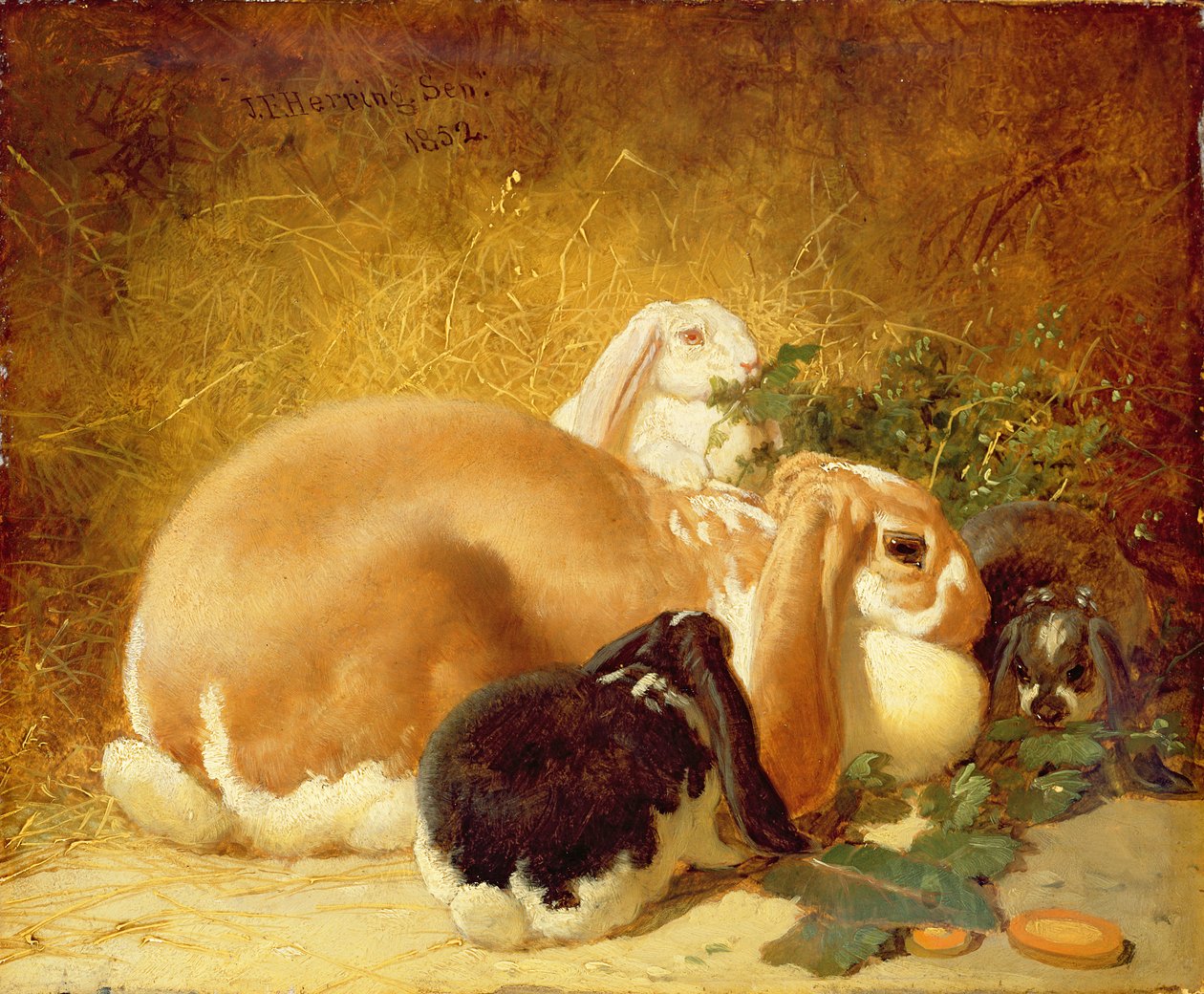 Kaniner, 1852 af John Frederick Herring Junior