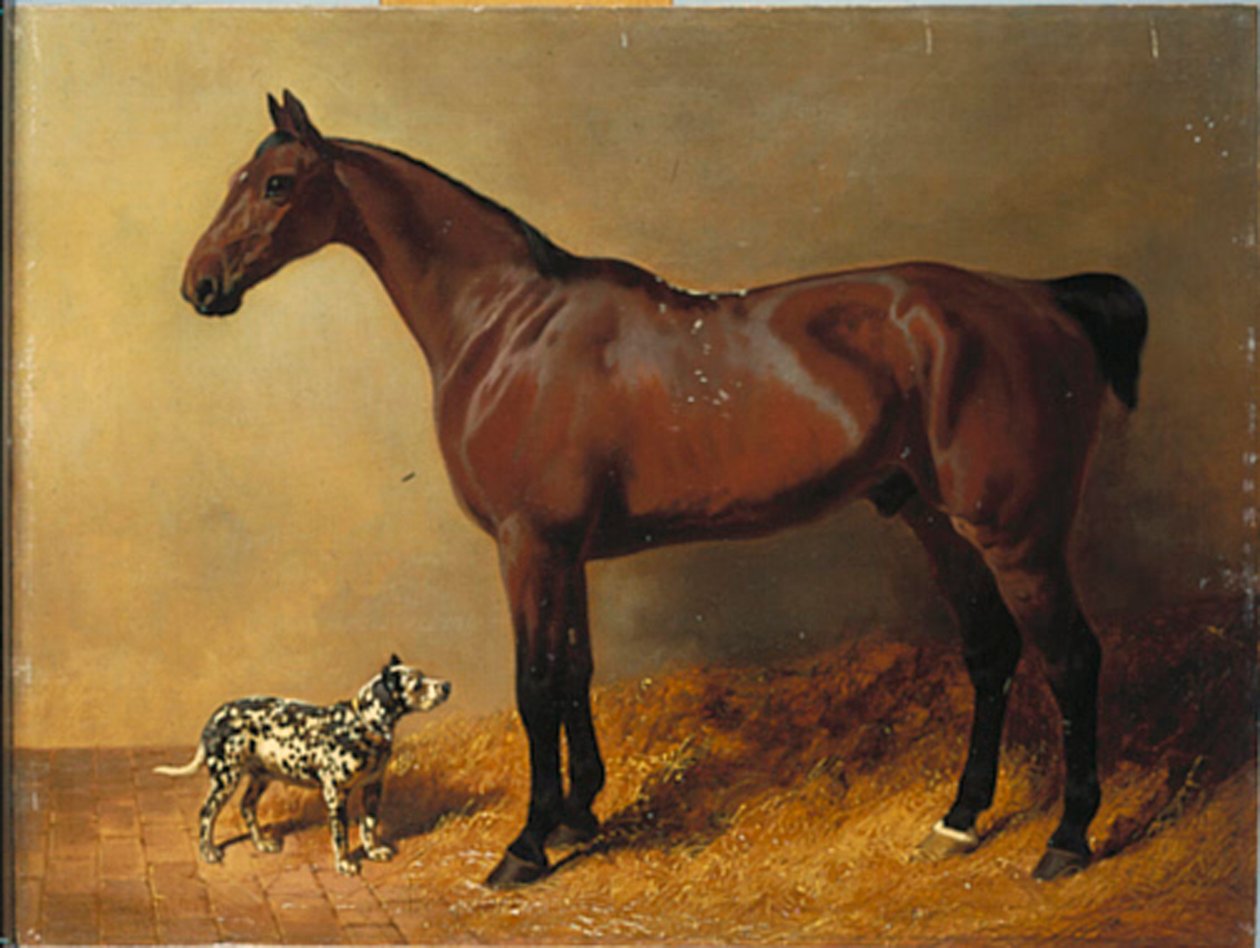 En bugtjæger og en plettet hund i et staldinteriør, 1846 af John Frederick Herring Senior