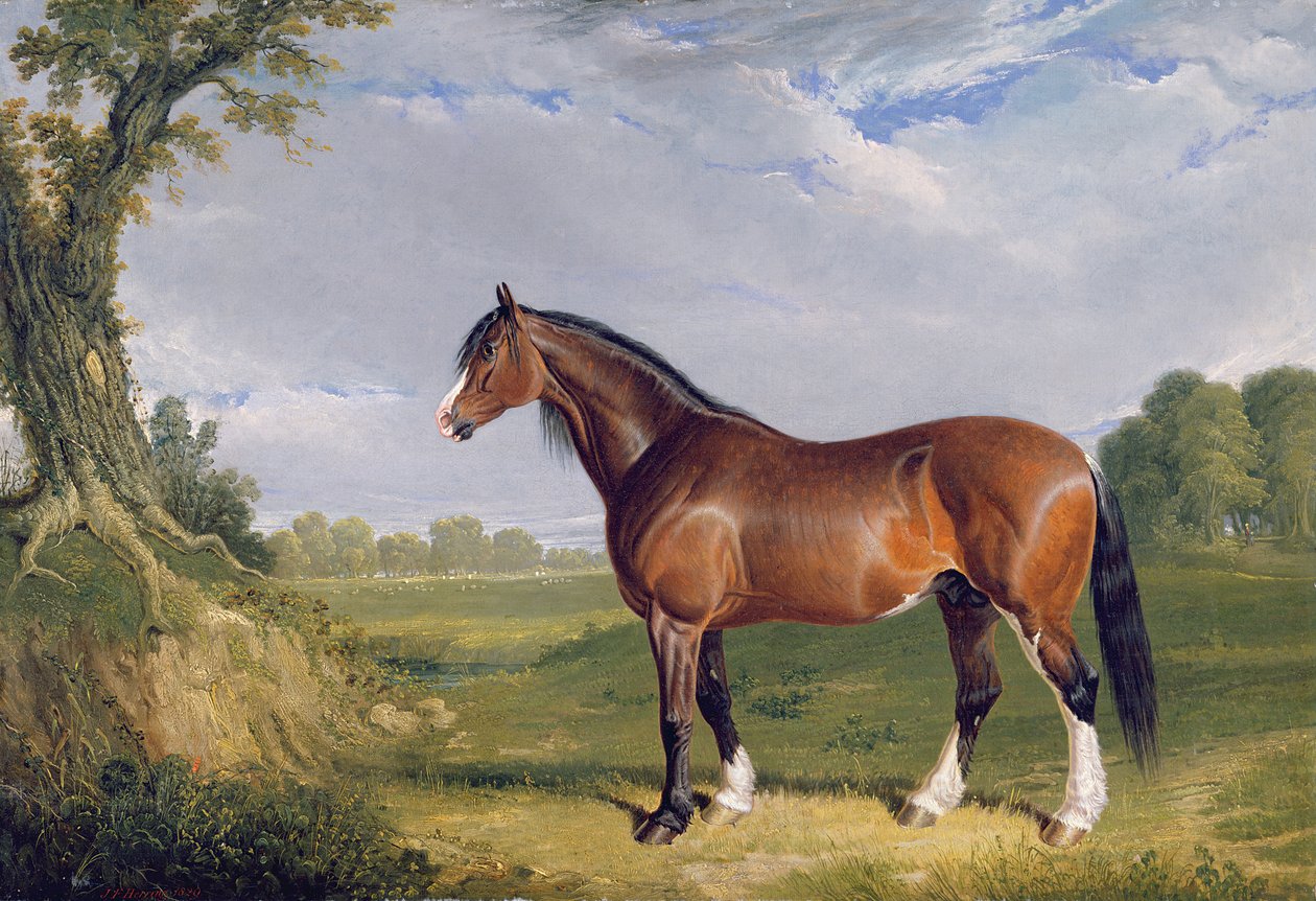 En Clydesdale-hingst, 1820 af John Frederick Herring Senior