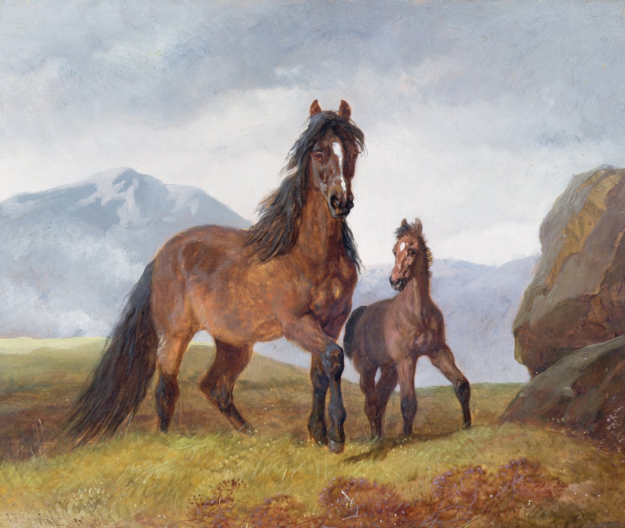 En walisisk bjerghoppe og føl, 1854 (panel) af John Frederick Herring Senior