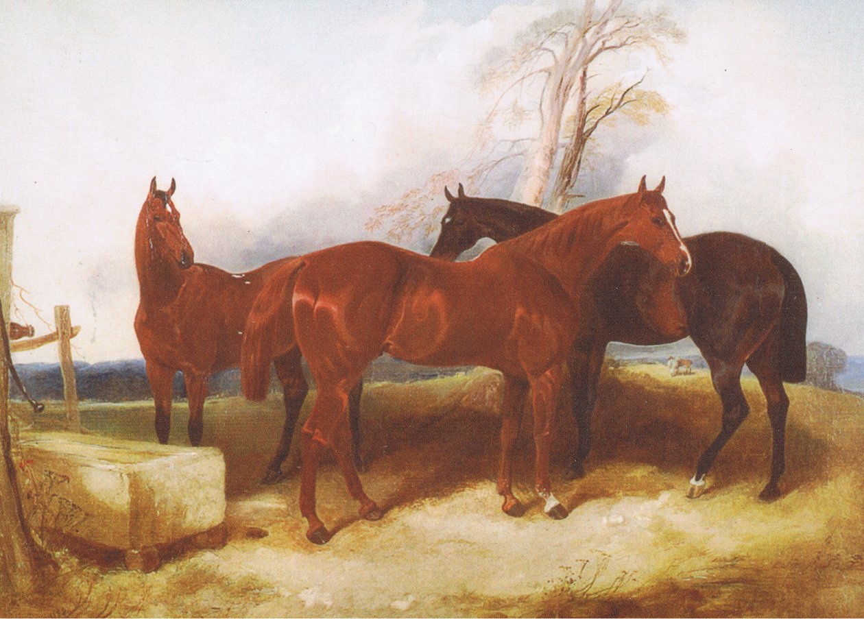 En gruppe heste fra ukendt magasin eller bogkilde af John Frederick Herring Senior