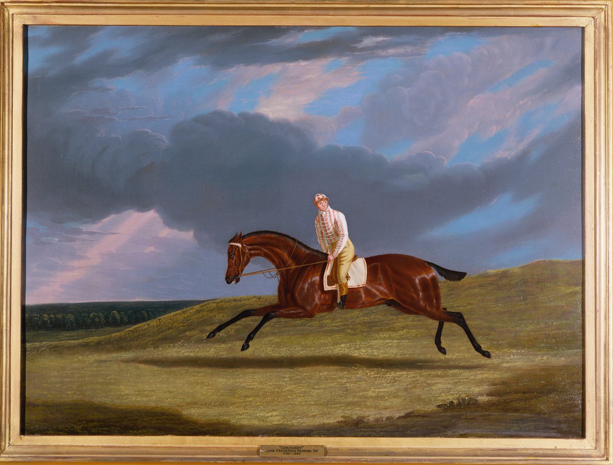 "Corduroy", en Bay Væddeløbshest, med en Jockey Up, galopperende på en Væddeløbsbane af John Frederick Herring Senior
