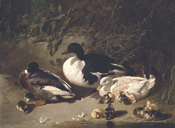 Ænder og Ællinger ved en Dam af John Frederick Herring Senior