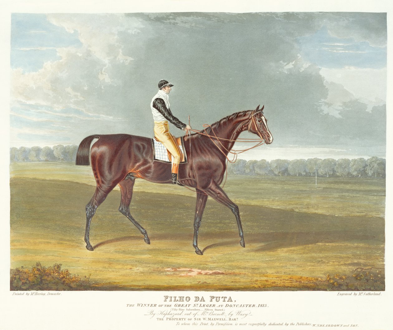 "Filho da Puta", vinderen af Great St. Leger i Doncaster, 1815, graveret af Thomas Sutherland (f.ca. 1785), udgivet af W. Sheardown und Son (akvaratint) af John Frederick Herring Senior
