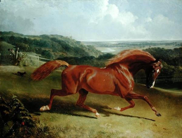 Galoperende hest i et landskab (olie på lærred) af John Frederick Herring Senior