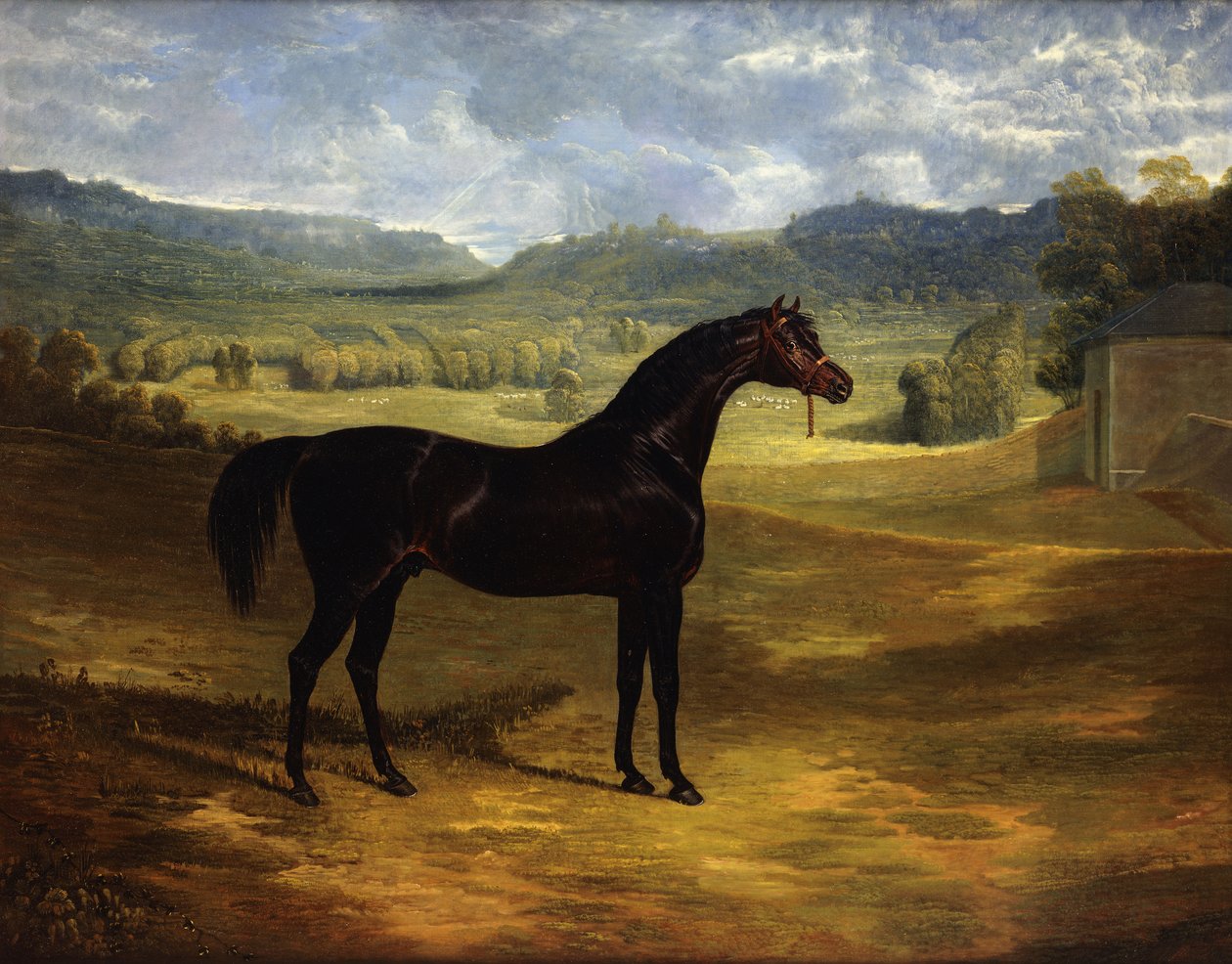Jack Spigot, en Dark Bay væddeløbshest i en paddock i Bolton Hall, 1824 af John Frederick Herring Senior