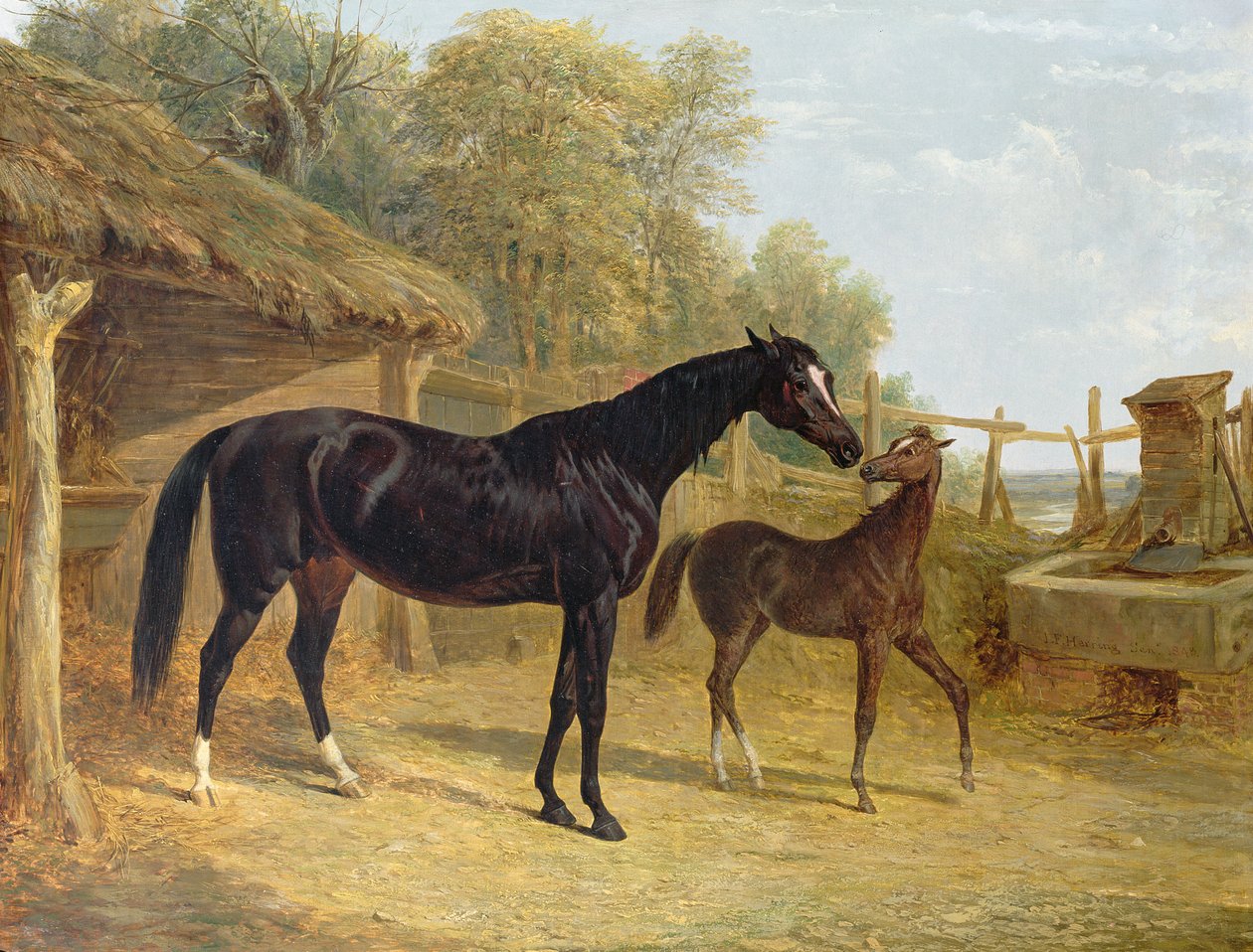 Levity, ejendom af J.C.Cockerill Esq., med hendes føl dronning Elizabeth, ejendom af Lord Dorchester, 1843 af John Frederick Herring Senior