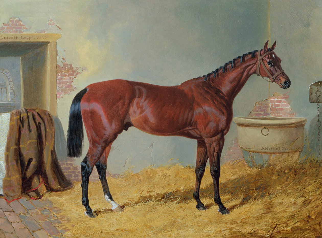 Hr. S. Wrathers "Nutwith" i en stald af John Frederick Herring Senior