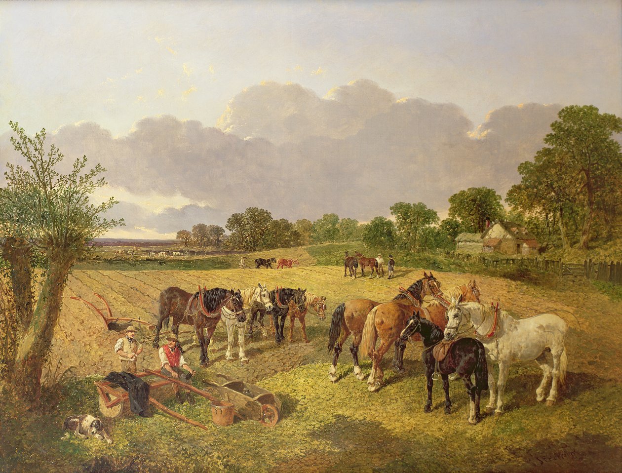 Hvilende Plovhold af John Frederick Herring Senior