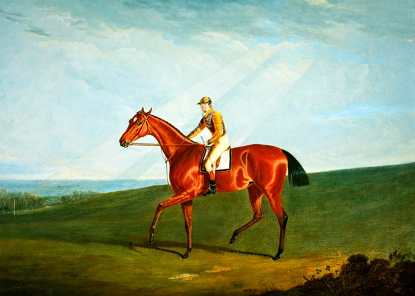 Ringlet med J. Jackson Up, ca. 1823 (olie på lærred) af John Frederick Herring Senior