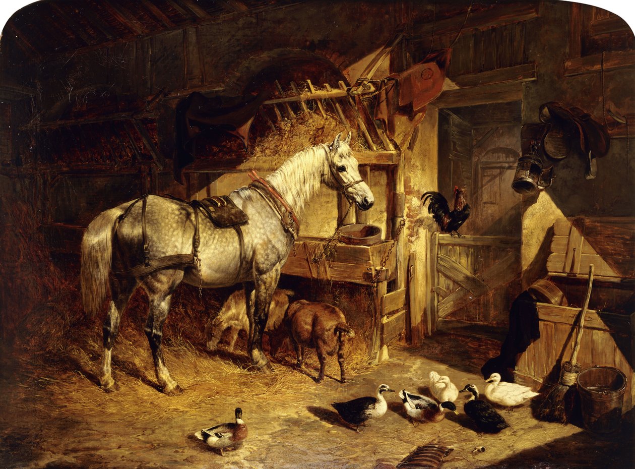 Interiøret af en stald med en plettet grå hest i seletøj, med ænder, geder og en hane af en krybbe, 1843 af John Frederick Herring Senior