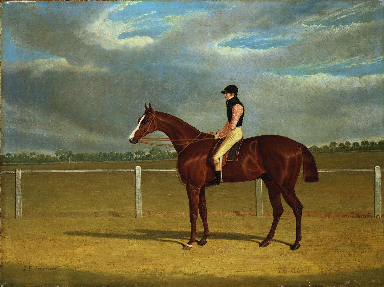 Væddeløbshesten "The Colonel" med William Scott Up af John Frederick Herring Senior