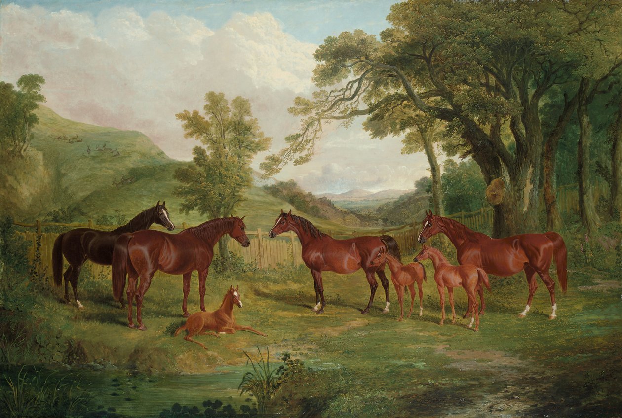 Streatlam Stud, Hopper og Føl, 1836 af John Frederick Herring Senior