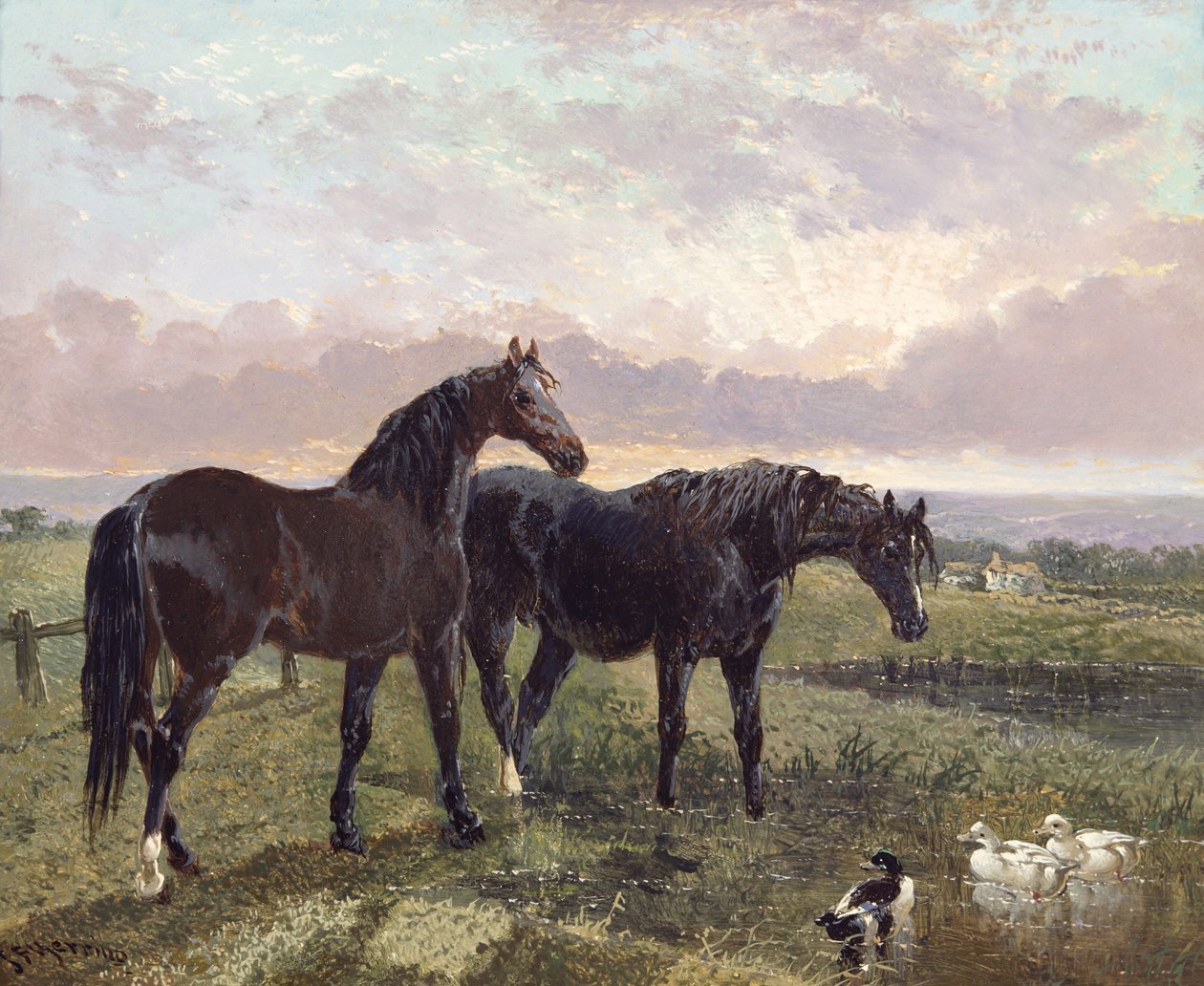 To heste græsser ved solnedgang af John Frederick Herring Senior