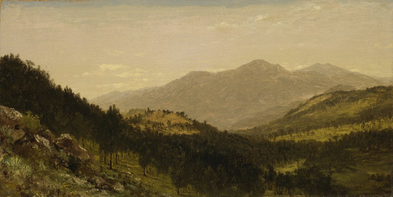 Bergen Park (Colorado) af John Frederick Kensett