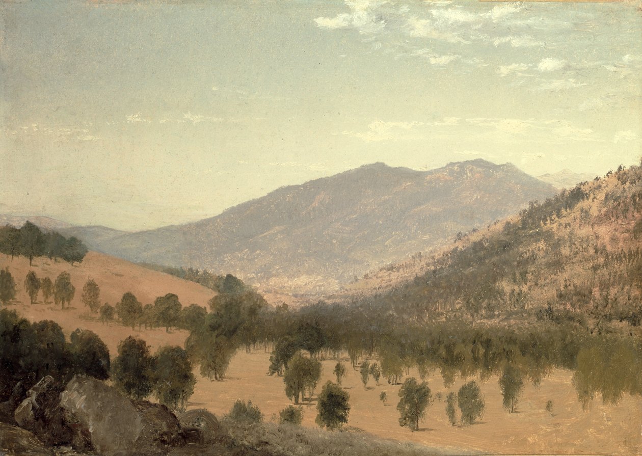 Bergen Park, Colorado (olie på lærred) af John Frederick Kensett