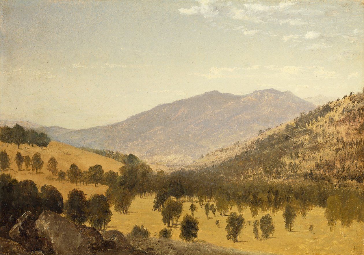 Bergen Park, Colorado, af John Frederick Kensett