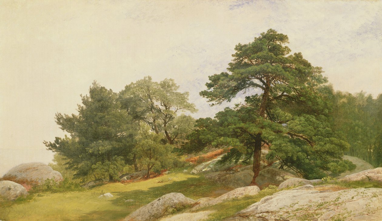 Undersøgelse for træer på Beverly Coast af John Frederick Kensett