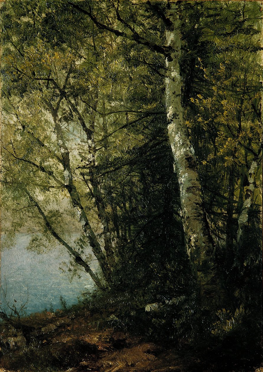 Studie af bøgetræer af John Frederick Kensett