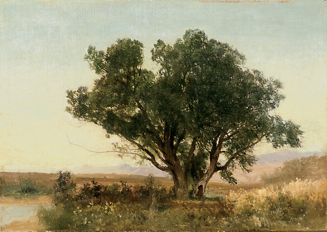 The Front Range, Colorado af John Frederick Kensett